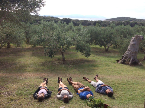 “Naptime in an Olive Grove” taken by senior Isabel Dammann during the Earth and Environment in Italy program in Fall Term 2015.