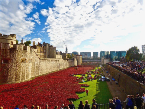 “Poppies, Tower of London” taken by senior Hannah Jeruc during the London Centre program in Fall Term 2014.