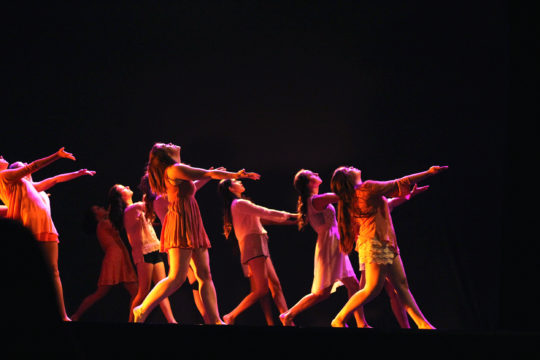 Lawrence University Dance Team executes their performance.