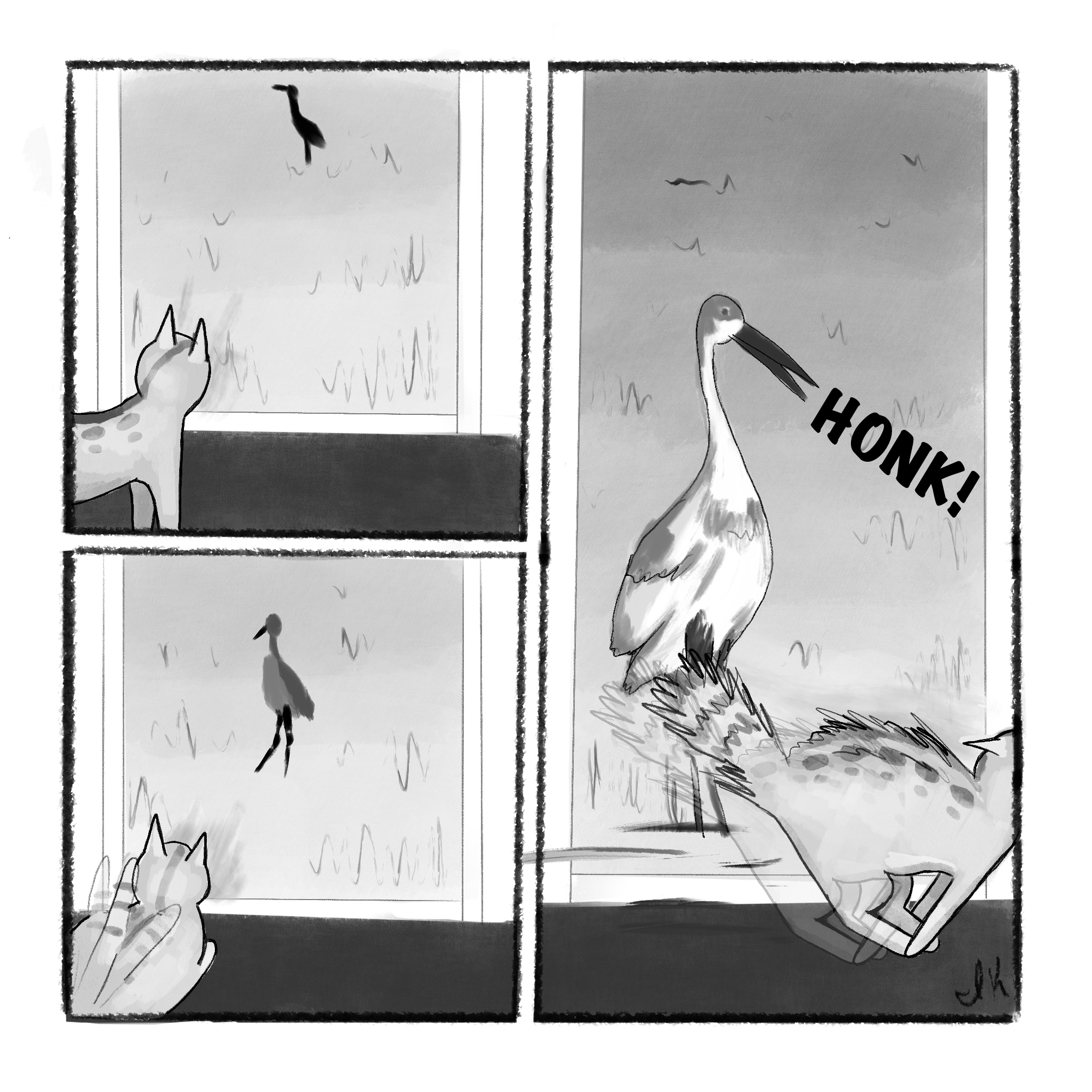 Comic of a cat looking out a window at a bird, bird says "honk" and cat runs away
